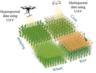 Establishing a knowledge structure for yield prediction in cereal crops using unmanned aerial vehicles